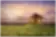 Verschleiertes Titelbild: Almhütte im Abendlicht